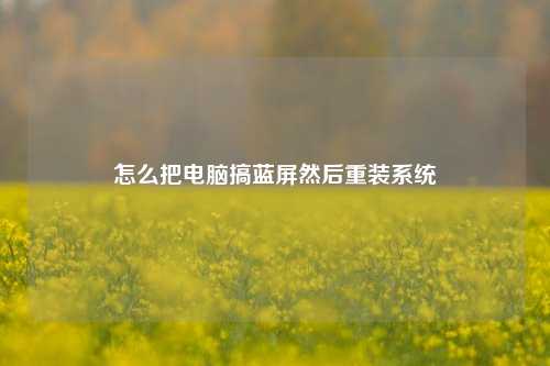 怎么把电脑搞蓝屏然后重装系统