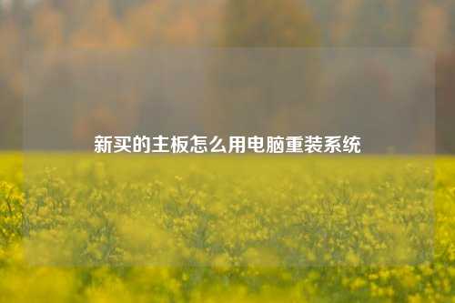 新买的主板怎么用电脑重装系统