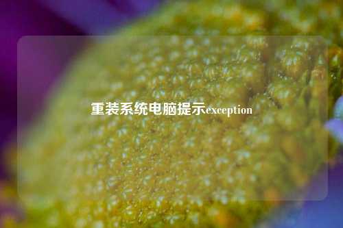 重装系统电脑提示exception