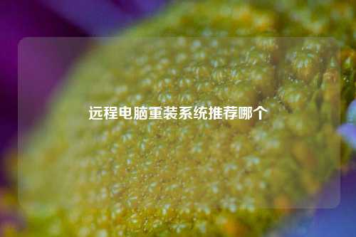 远程电脑重装系统推荐哪个