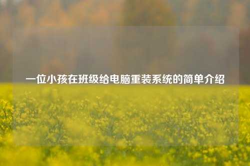 一位小孩在班级给电脑重装系统的简单介绍