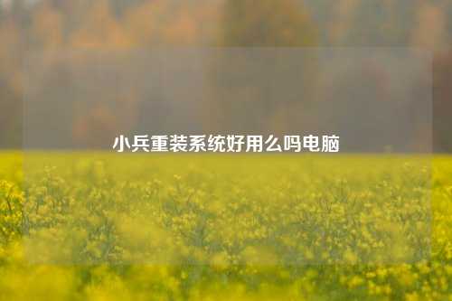 小兵重装系统好用么吗电脑