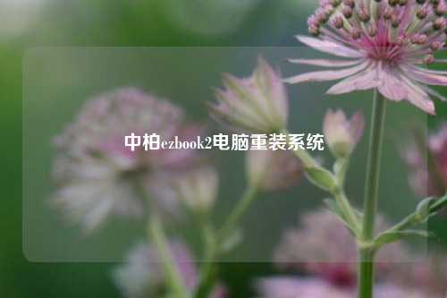 中柏ezbook2电脑重装系统