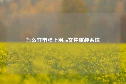 怎么在电脑上用iso文件重装系统