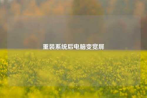 重装系统后电脑变宽屏