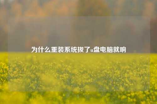 为什么重装系统拔了u盘电脑就响