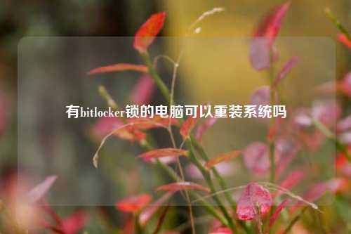 有bitlocker锁的电脑可以重装系统吗