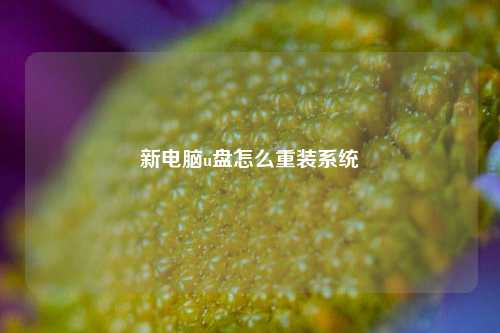 新电脑u盘怎么重装系统