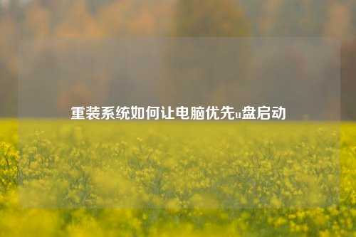 重装系统如何让电脑优先u盘启动