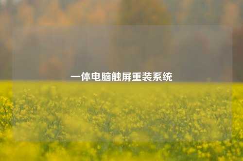 一体电脑触屏重装系统