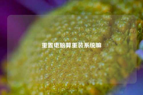 重置电脑算重装系统嘛