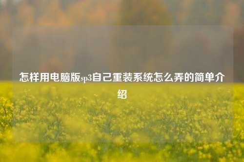 怎样用电脑版sp3自己重装系统怎么弄的简单介绍