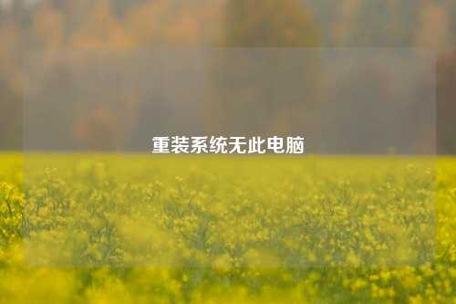 重装系统无此电脑