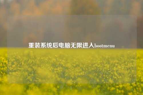 重装系统后电脑无限进入bootmenu