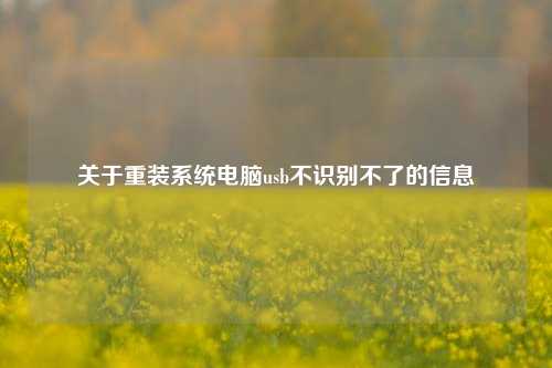 关于重装系统电脑usb不识别不了的信息